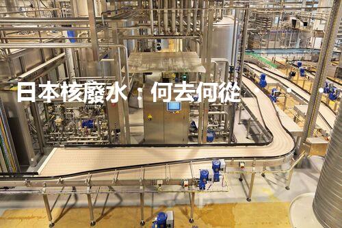 日本核廢水：何去何從？